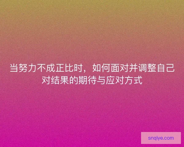 当努力不成正比时，如何面对并调整自己对结果的期待与应对方式