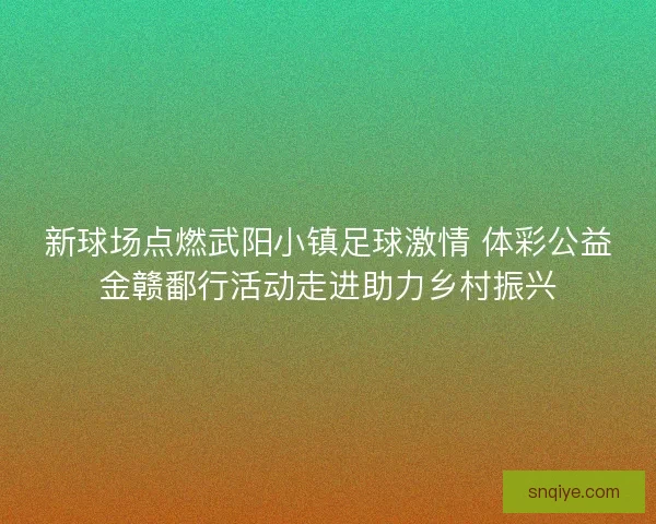 新球场点燃武阳小镇足球激情 体彩公益金赣鄱行活动走进助力乡村振兴
