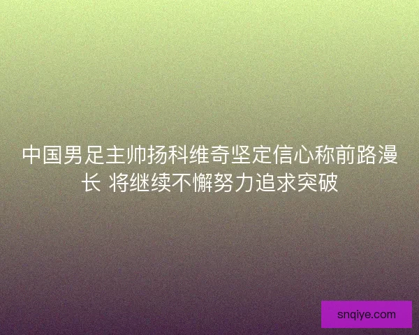 中国男足主帅扬科维奇坚定信心称前路漫长 将继续不懈努力追求突破