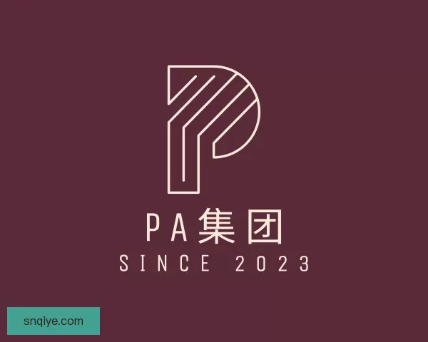 发现PA视讯